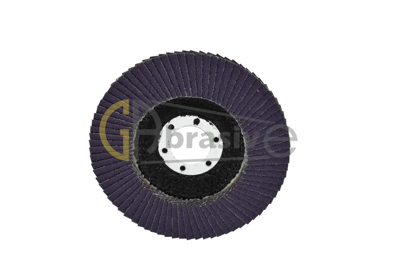 769F Flap Disk